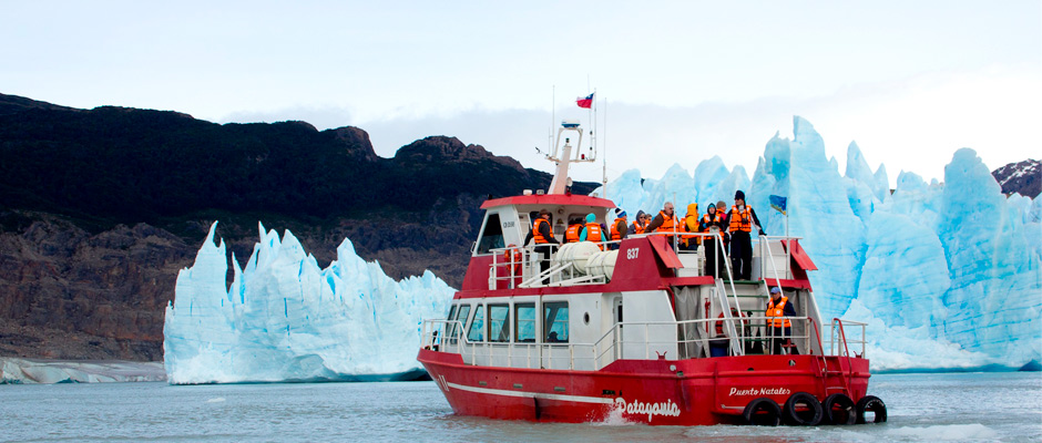 roble medio lluvia Navegación Glaciar y Lago Grey Torres del Paine - Patagonia Tours